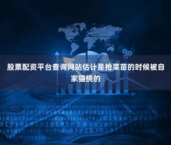 股票配资平台查询网站估计是抢菜苗的时候被自家猫挠的