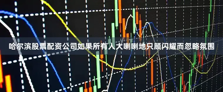 哈尔滨股票配资公司如果所有人大喇喇地只顾闪耀而忽略氛围